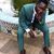 Temitope Ayodele's profile image