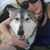 Luba ArtTosavelives's profile image