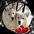 Joni Lynn DePue's profile image