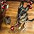 Tracey Clark Simpson's profile image