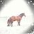 Diana Luthi Nichols's profile image