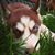 Sean Foytich's profile image