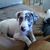 Samantha Andrews's profile image