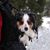 Margi Dyer's profile image
