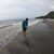 Naufal Shofwan W's profile image