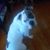 Kimberly TaylorLewis's profile image