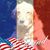 Kirk Tilton's profile image