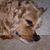 Johnathan Chen's profile image