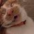 Kama Mountz's profile image