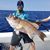 Michael Ferrell Alexander's profile image