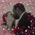 Kristi L. Taylor-Sayles's profile image