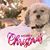 Donna Trainer's profile image