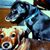 Sondra Williams's profile image