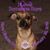 Jaye Pence Christensen's profile image