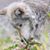 LaJuana Barkley's profile image