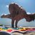 Amanda Gomes's profile image