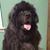 John Seales's profile image