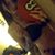 Alicia Gonsalez's profile image