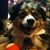 Christine Greenwood's profile image