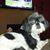 David Schoenauer's profile image