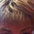 Marilyn Oneill's profile image