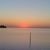 Sheila Harris's profile image