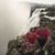 Kristie Paliotta Waddell's profile image