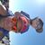 Dave Monette's profile image