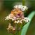 Dona Ok's profile image