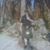 Len Hoben's profile image