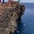 Brandall KeanuAloha Hickman's profile image
