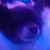 Tommy Netzband's profile image