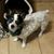 Mellisa Blevins's profile image