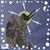 Stephanie Peters's profile image