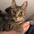 Jennifer Satterfield Farr's profile image