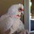 Lynne Miller's profile image