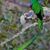 Rigoberto Lopez's profile image