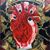 Gabrielle Neavin's profile image