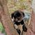 Janice Fendrock's profile image