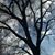 Barbara Zibell's profile image