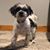 Carol A Vandestroet's profile image