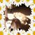 Barbara Genovese Graci's profile image