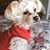 Glenda Sundstrom's profile image
