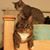 Cheryl Ingersoll Wilson's profile image