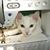 Judith Baker's profile image