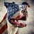 Steve Wassmer's profile image
