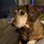 Tina Spencer's profile image