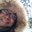 suzanne stoute's profile image