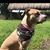 Lissette Llorens Rodriguez's profile image
