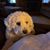 Kimberly Ann Crandell's profile image